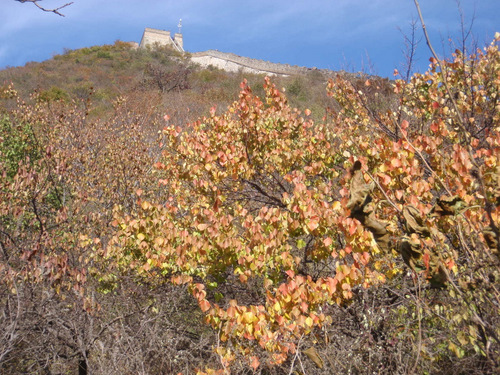 Part of the Great Wall of China.